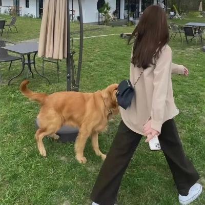 终端人
