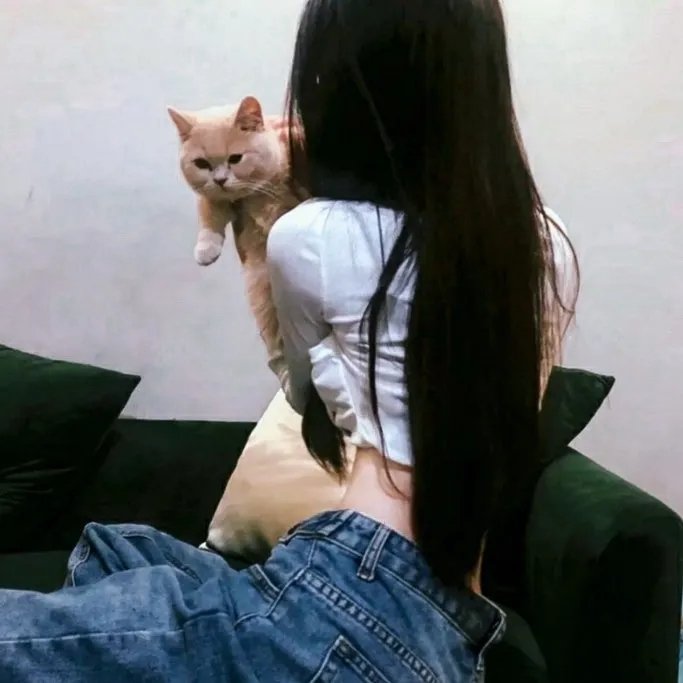 我的宇宙
